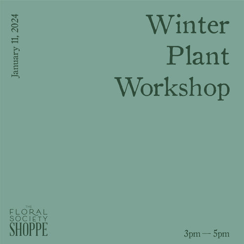 Winter Plant Workshop - January 11, 2024
