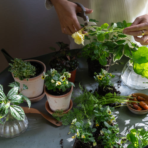 Workshop Mat_Potting Mat Fern