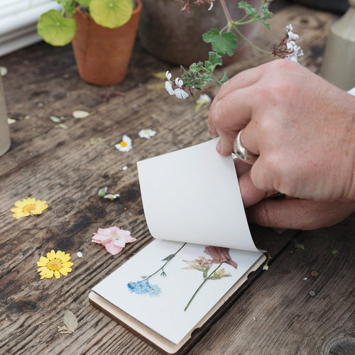 YellowButtercupFlowerPressMini3