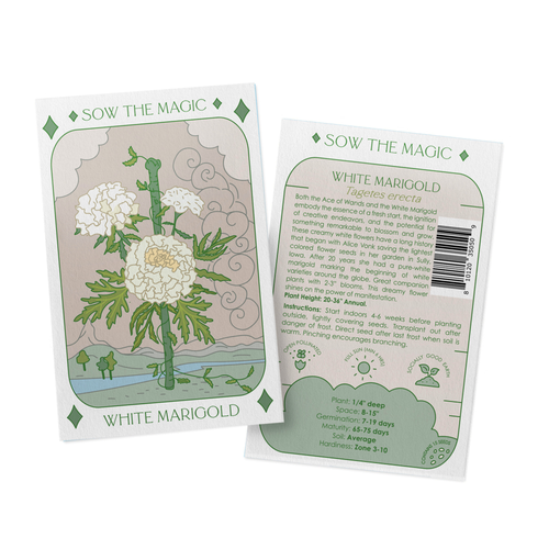 seed flower packets White Marigold Tarot Seed Packet