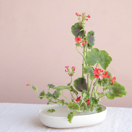 Flower Frog Bowl + Taper Holder — Wildly Floral Co.