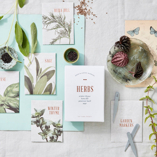 garden seeds herbs Herb Seed Kit – The Floral Society