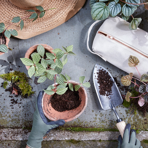 The garden kit includes the essential tools for gardening and planting: a hand-forged trowel and a pair of durable garden gloves together in our canvas utility pouch.  Gloves are one size fits most and the forged trowel is made in Holland with a lifetime guarantee.