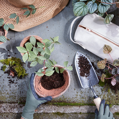 canvas gardening gloves Garden Kit