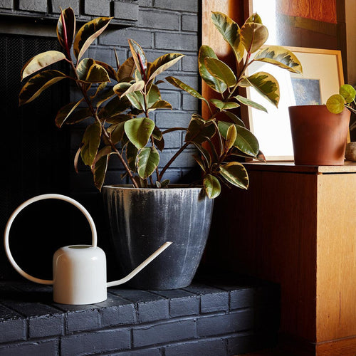 Watering Can & Glove Set